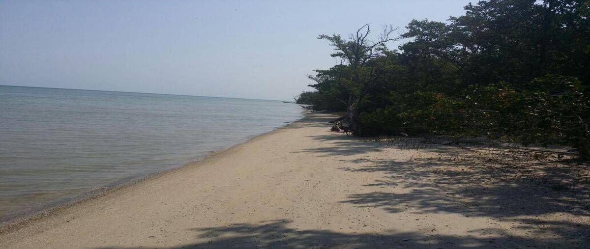 Foto de terreno comercial en venta en isla cayo 5, andrés quintana roo, felipe carrillo puerto, quintana roo, 26318758 No. 04