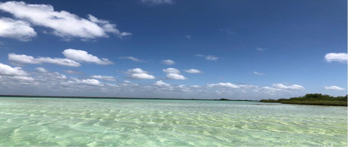 Foto de terreno comercial en venta en isla cayo 5, andrés quintana roo, felipe carrillo puerto, quintana roo, 26318758 No. 05