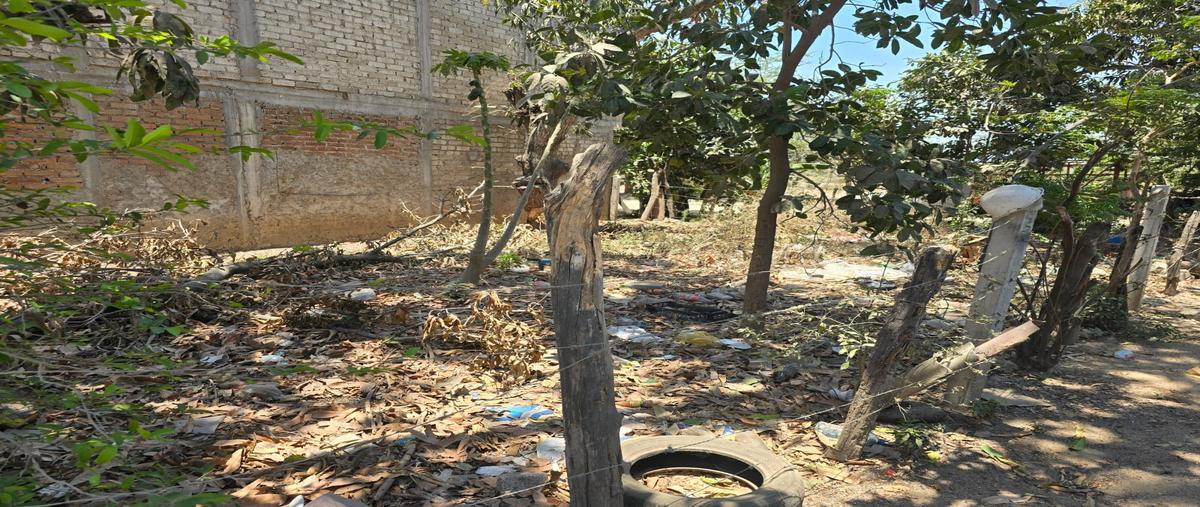 Foto de terreno habitacional en venta en isla cedro esquina avenida del cereso , la primavera, bahía de banderas, nayarit, 30052401 No. 03