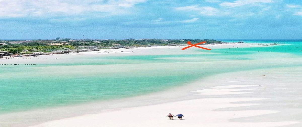 Foto de terreno habitacional en venta en  , isla de holbox, lázaro cárdenas, quintana roo, 26810853 No. 03