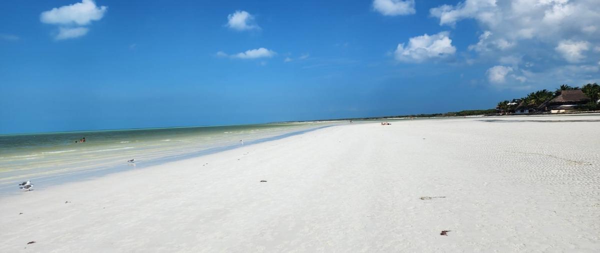 Foto de terreno habitacional en venta en  , isla de holbox, lázaro cárdenas, quintana roo, 27074461 No. 03
