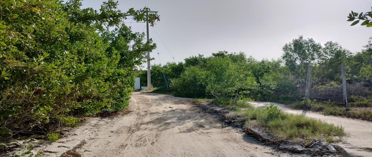 Foto de terreno habitacional en venta en  , isla de holbox, lázaro cárdenas, quintana roo, 27074461 No. 05