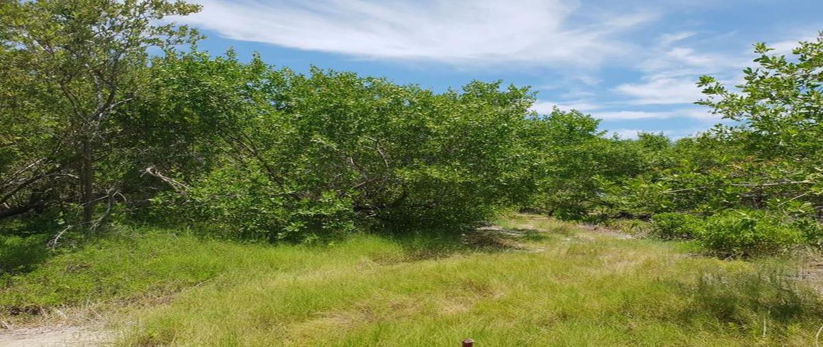 Foto de terreno habitacional en venta en  , isla de holbox, lázaro cárdenas, quintana roo, 0 No. 03