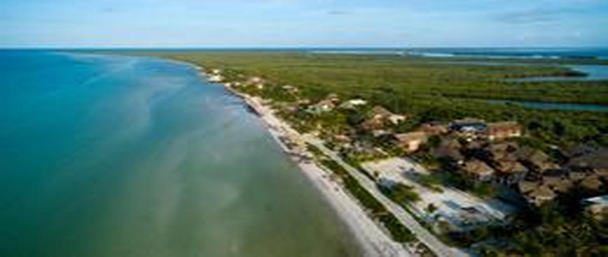 Foto de terreno habitacional en venta en  , isla de holbox, lázaro cárdenas, quintana roo, 27131151 No. 05