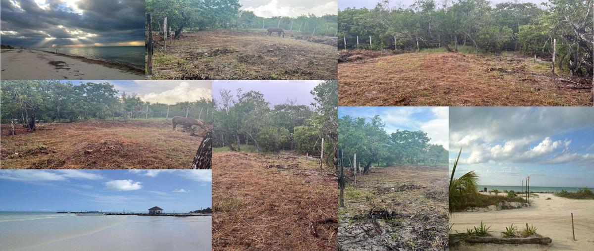 Foto de terreno habitacional en venta en  , isla de holbox, lázaro cárdenas, quintana roo, 0 No. 03