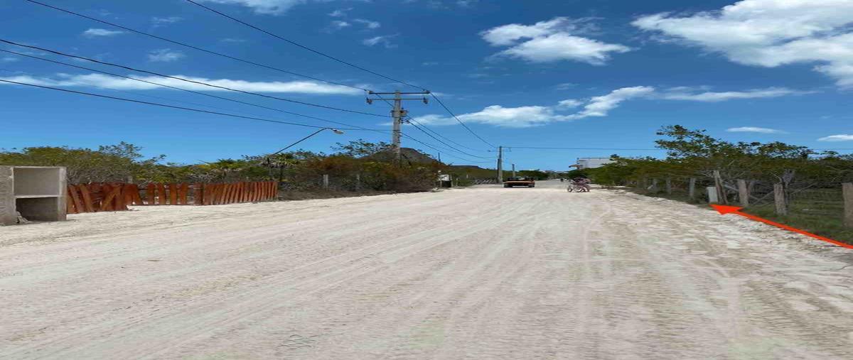 Foto de terreno habitacional en venta en  , isla de holbox, lázaro cárdenas, quintana roo, 0 No. 03