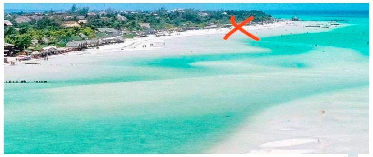 Foto de terreno habitacional en venta en  , isla de holbox, lázaro cárdenas, quintana roo, 0 No. 05