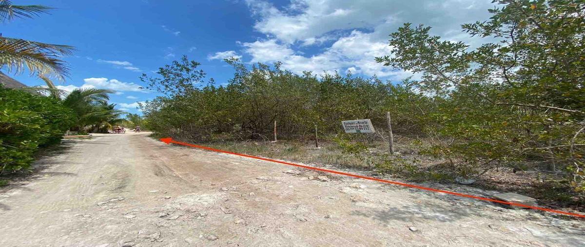 Foto de terreno habitacional en venta en  , isla de holbox, lázaro cárdenas, quintana roo, 0 No. 03