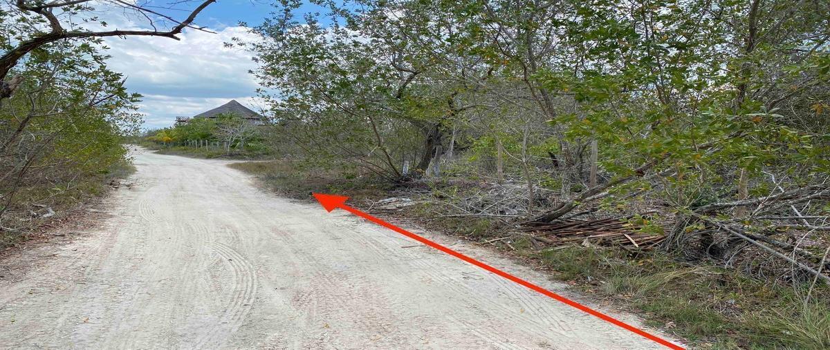 Foto de terreno habitacional en venta en  , isla de holbox, lázaro cárdenas, quintana roo, 0 No. 04