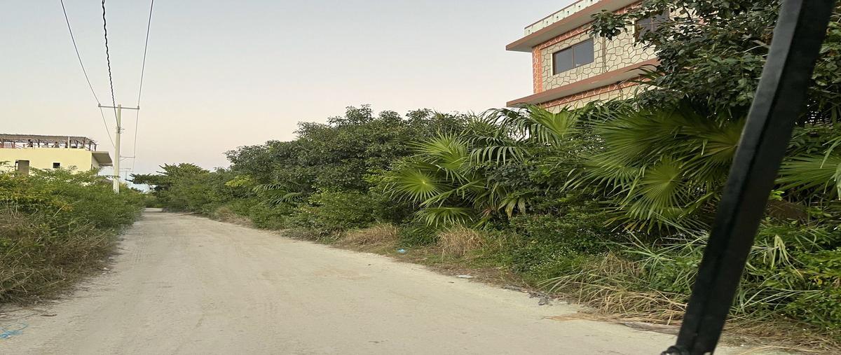 Foto de terreno habitacional en , isla de holbox, lázaro cárdenas, quintana roo, 0 foto 01 Foto de terreno habitacional en venta en , isla de holbox, lázaro cárdenas, quintana roo, 0 No. 01