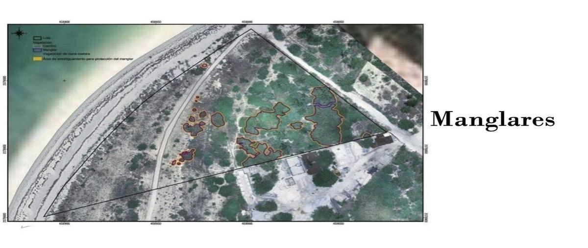 Foto de terreno habitacional en , isla de holbox, lázaro cárdenas, quintana roo, 28646980 foto 02 Foto de terreno habitacional en venta en , isla de holbox, lázaro cárdenas, quintana roo, 28646980 No. 02