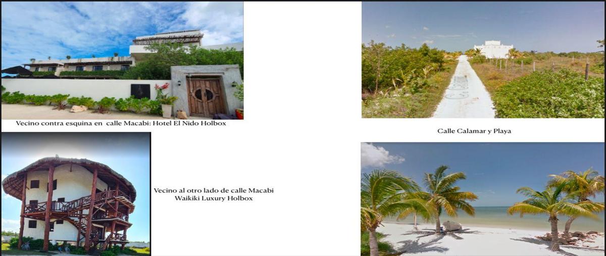 Foto de terreno habitacional en , isla de holbox, lázaro cárdenas, quintana roo, 0 foto 02 Foto de terreno habitacional en venta en , isla de holbox, lázaro cárdenas, quintana roo, 0 No. 02