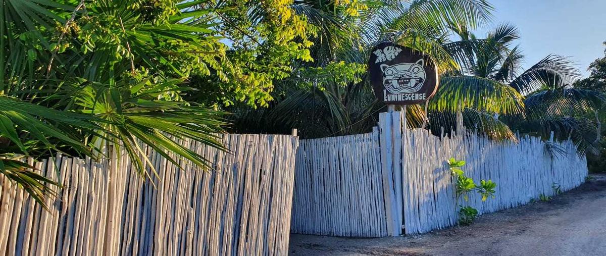 Foto de departamento en venta en  , isla de holbox, lázaro cárdenas, quintana roo, 0 No. 05