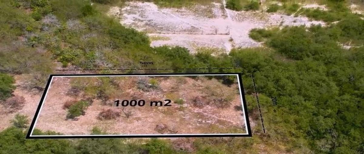 Foto de terreno habitacional en venta en  , isla de holbox, lázaro cárdenas, quintana roo, 30051572 No. 05