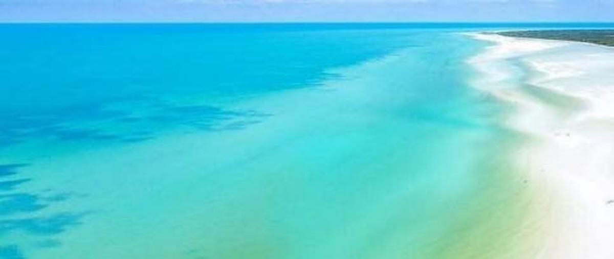 Foto de terreno habitacional en venta en  , isla de holbox, lázaro cárdenas, quintana roo, 30246980 No. 03
