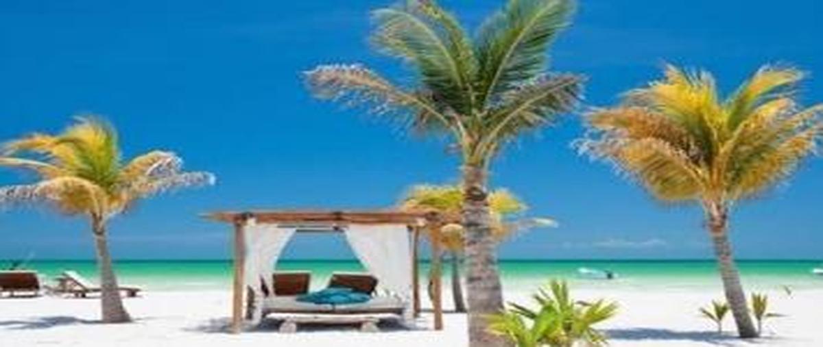 Foto de terreno habitacional en venta en  , isla de holbox, lázaro cárdenas, quintana roo, 30246980 No. 05