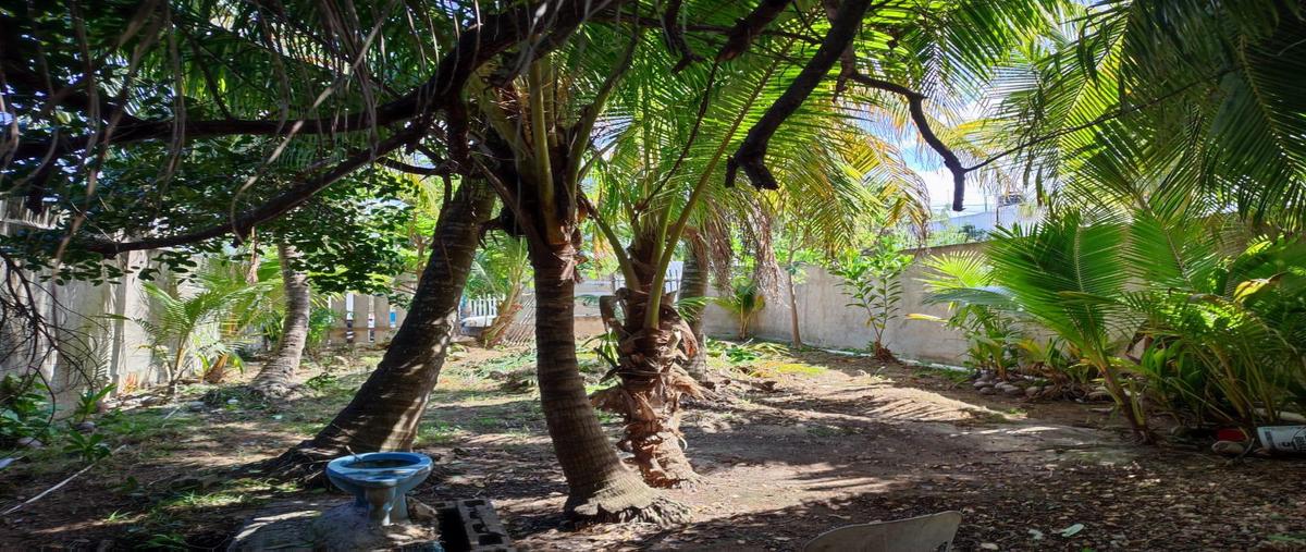 Foto de terreno habitacional en venta en  , isla de holbox, lázaro cárdenas, quintana roo, 30351390 No. 03