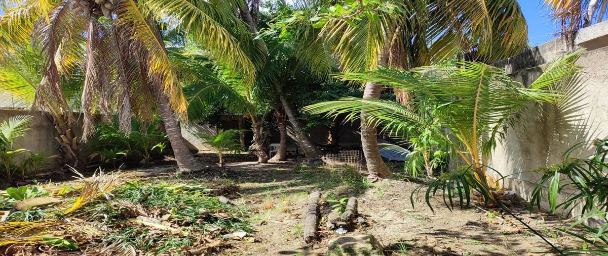 Foto de terreno habitacional en venta en  , isla de holbox, lázaro cárdenas, quintana roo, 30351390 No. 04