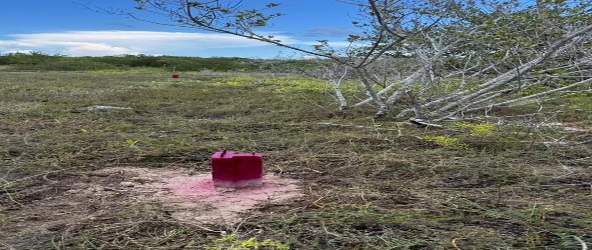 Foto de terreno habitacional en venta en  , isla de holbox, lázaro cárdenas, quintana roo, 30441139 No. 03