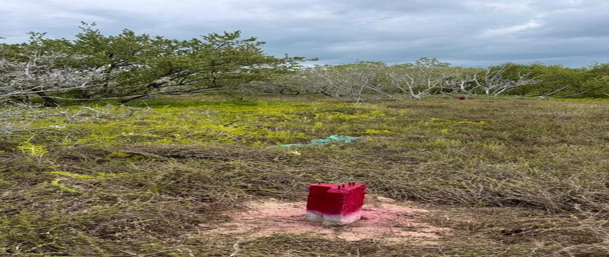 Foto de terreno habitacional en venta en  , isla de holbox, lázaro cárdenas, quintana roo, 30441139 No. 04