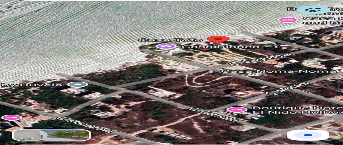 Foto de terreno habitacional en , isla de holbox, lázaro cárdenas, quintana roo, 0 foto 05 Foto de terreno habitacional en venta en , isla de holbox, lázaro cárdenas, quintana roo, 0 No. 05
