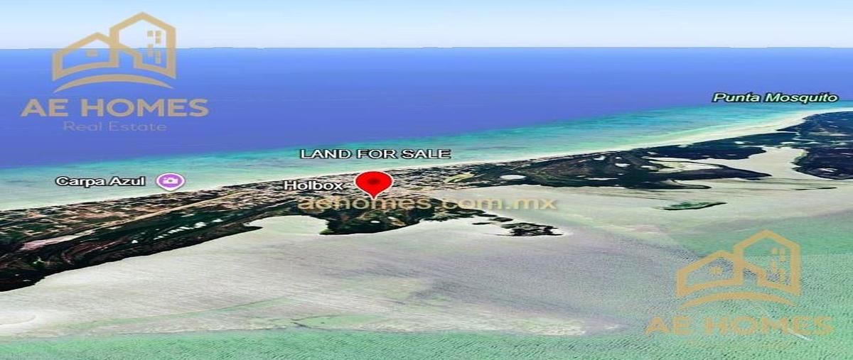 Foto de terreno habitacional en , isla de holbox, lázaro cárdenas, quintana roo, 0 foto 04 Foto de terreno habitacional en venta en , isla de holbox, lázaro cárdenas, quintana roo, 0 No. 04