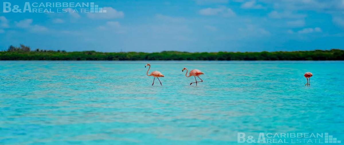Foto de terreno habitacional en , isla de holbox, lázaro cárdenas, quintana roo, 0 foto 04 Foto de terreno habitacional en venta en , isla de holbox, lázaro cárdenas, quintana roo, 0 No. 04