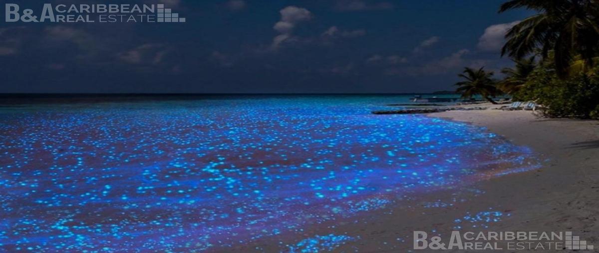 Foto de terreno habitacional en , isla de holbox, lázaro cárdenas, quintana roo, 0 foto 05 Foto de terreno habitacional en venta en , isla de holbox, lázaro cárdenas, quintana roo, 0 No. 05