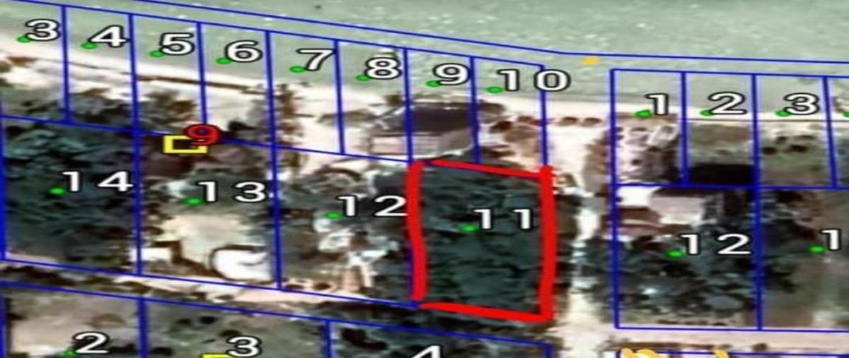 Foto de terreno habitacional en venta en  , isla de holbox, lázaro cárdenas, quintana roo, 0 No. 03