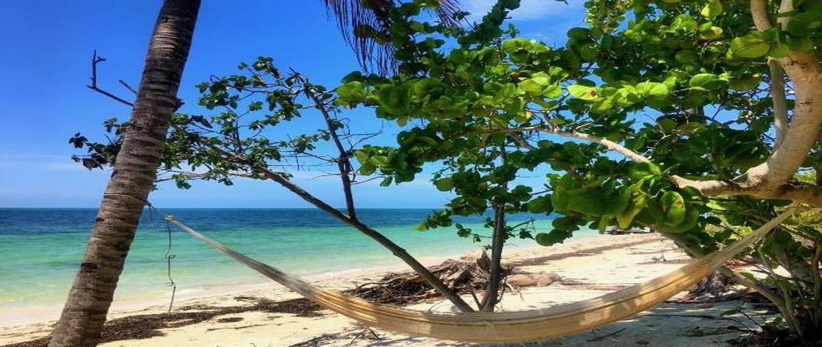 Foto de terreno habitacional en venta en  , isla de holbox, lázaro cárdenas, quintana roo, 0 No. 03