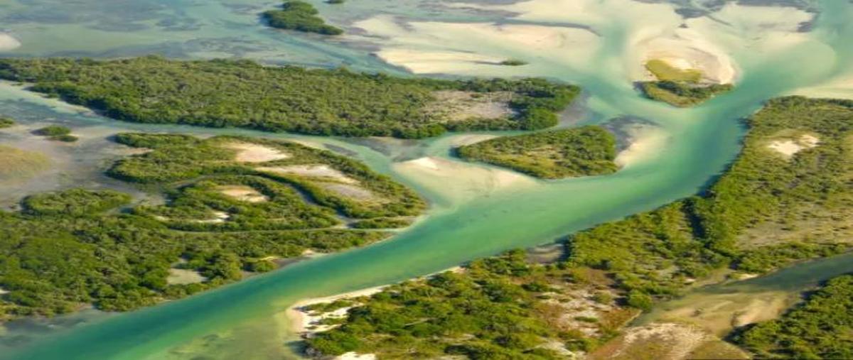 Foto de terreno habitacional en venta en  , isla de holbox, lázaro cárdenas, quintana roo, 0 No. 04