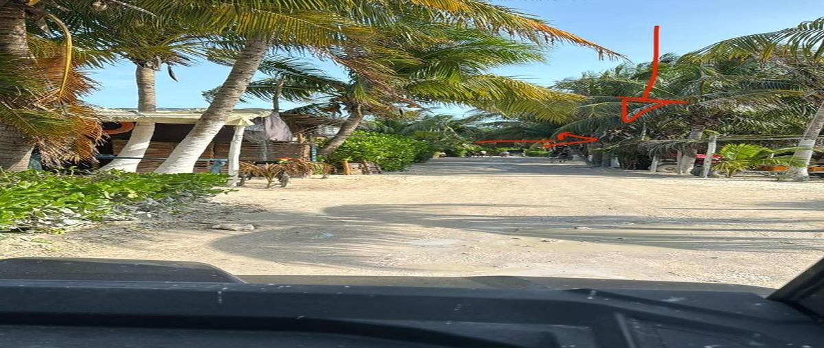 Foto de terreno habitacional en venta en  , isla de holbox, lázaro cárdenas, quintana roo, 0 No. 03