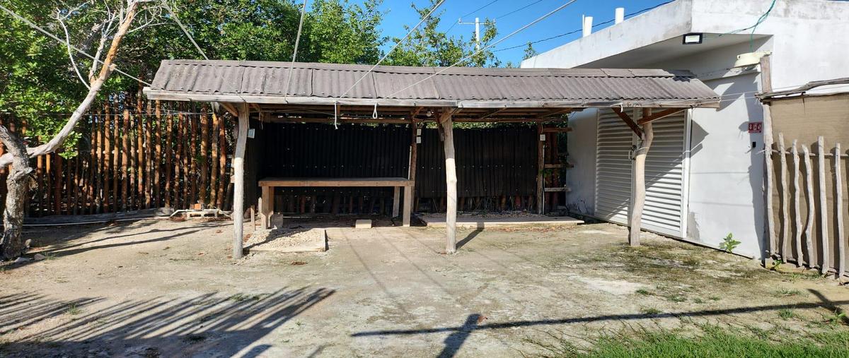 Foto de terreno habitacional en venta en  , isla de holbox, lázaro cárdenas, quintana roo, 31121426 No. 05