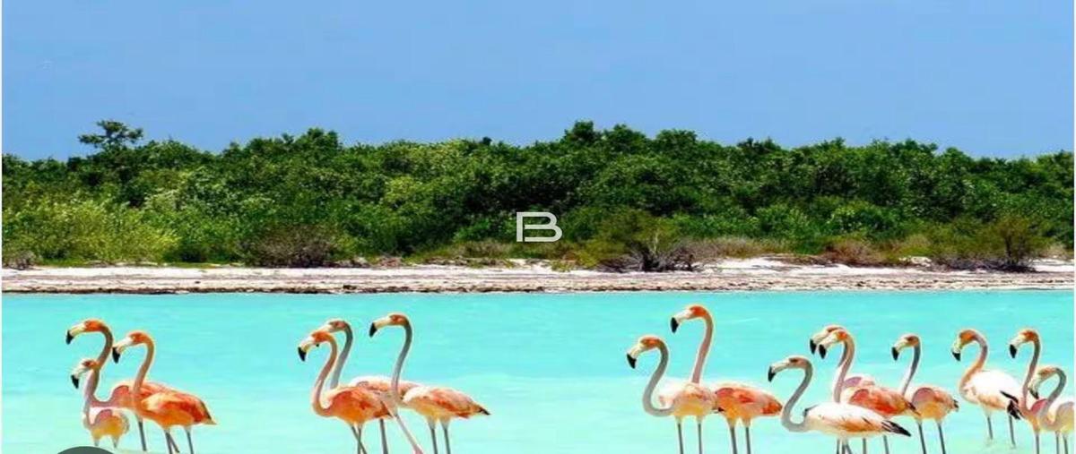 Foto de casa en venta en  , isla de holbox, lázaro cárdenas, quintana roo, 0 No. 04