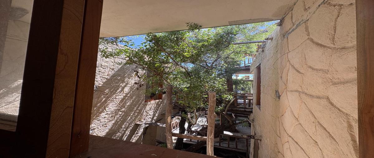 Foto de edificio en venta en  , isla de holbox, lázaro cárdenas, quintana roo, 0 No. 05