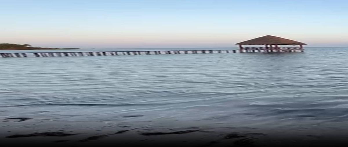 Foto de terreno habitacional en venta en  , isla de holbox, lázaro cárdenas, quintana roo, 0 No. 05