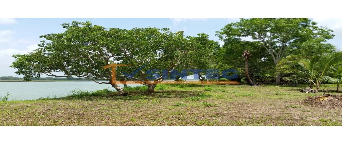 Foto de terreno habitacional en venta en  , isla de juana moza, tuxpan, veracruz de ignacio de la llave, 0 No. 04