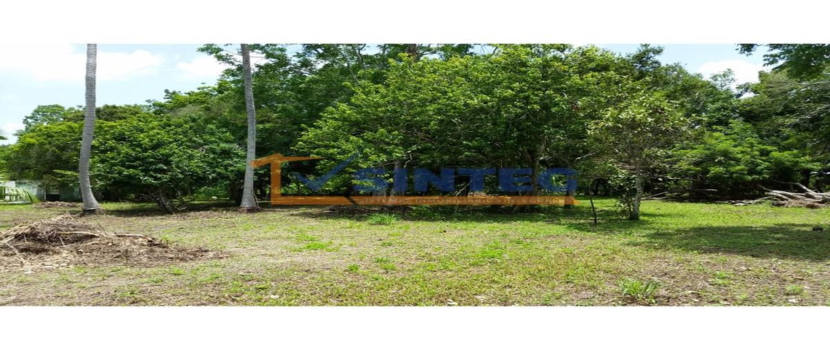 Foto de terreno habitacional en venta en  , isla de juana moza, tuxpan, veracruz de ignacio de la llave, 0 No. 05