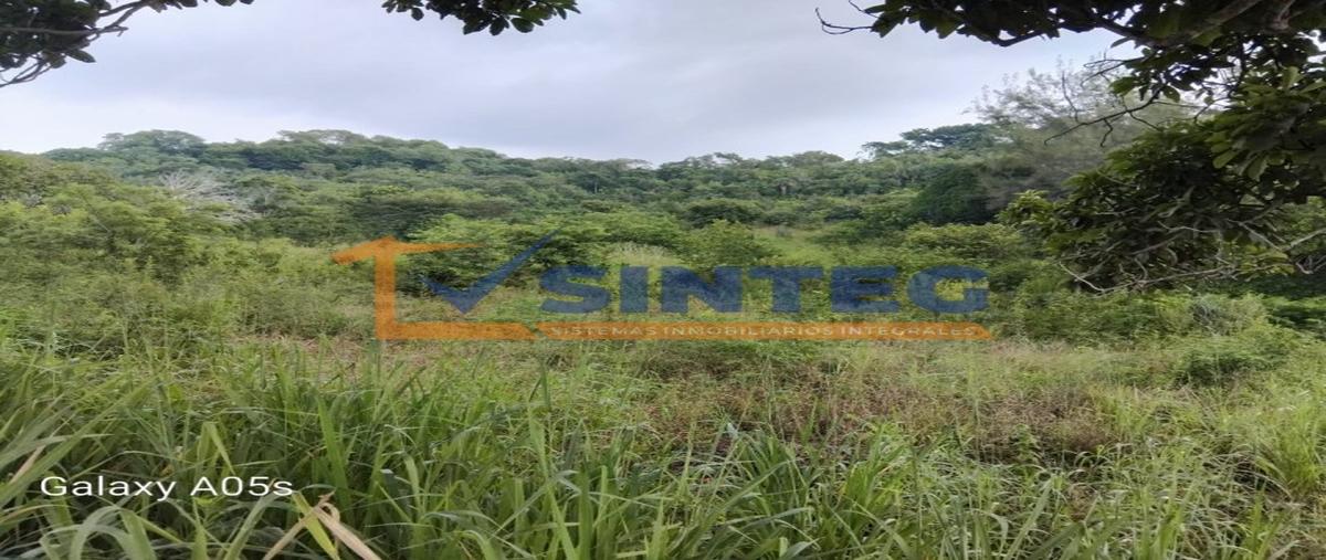 Foto de terreno habitacional en venta en  , isla de juana moza, tuxpan, veracruz de ignacio de la llave, 28688993 No. 03