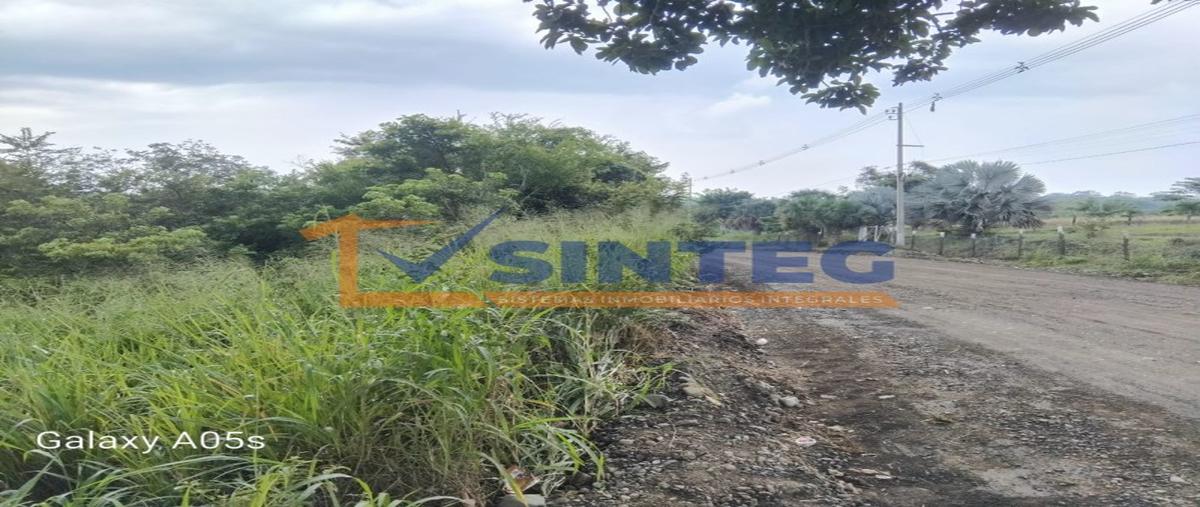 Foto de terreno habitacional en venta en  , isla de juana moza, tuxpan, veracruz de ignacio de la llave, 28688993 No. 04