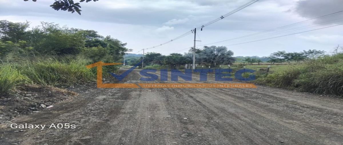 Foto de terreno habitacional en venta en  , isla de juana moza, tuxpan, veracruz de ignacio de la llave, 28688993 No. 05