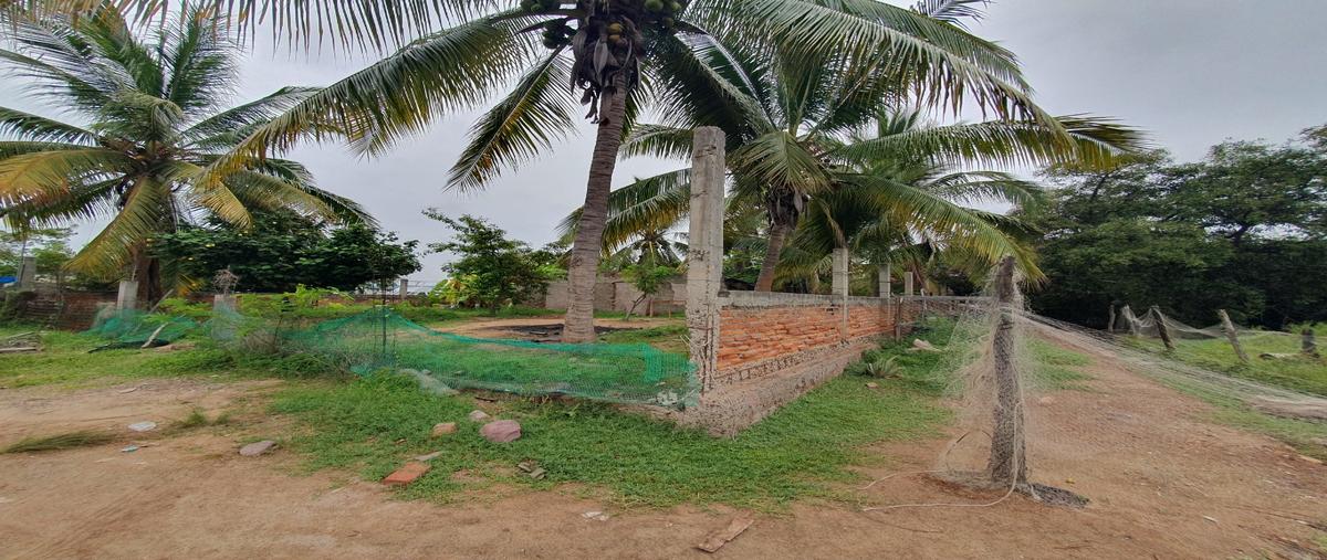 Foto de terreno habitacional en venta en  , isla de la piedra, mazatlán, sinaloa, 0 No. 05