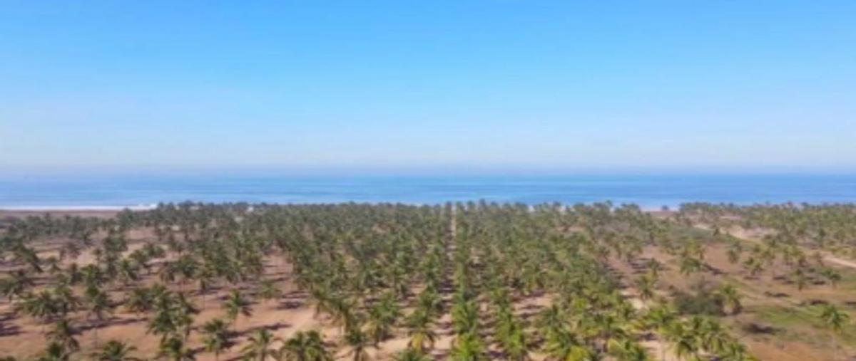 Foto de terreno comercial en venta en isla de la piedra resort & sun set living , isla de la piedra, mazatlán, sinaloa, 25999058 No. 05