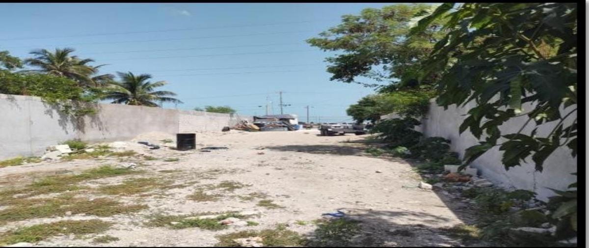 Foto de terreno habitacional en , isla de tris, carmen, campeche, 27883369 foto 02 Foto de terreno habitacional en venta en , isla de tris, carmen, campeche, 27883369 No. 02