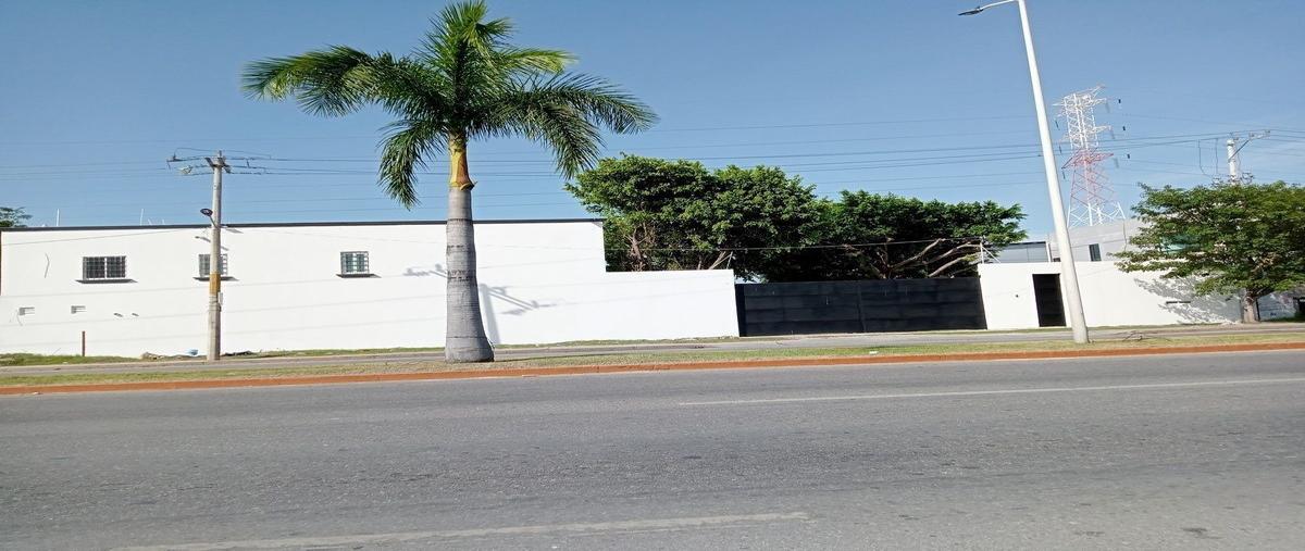 Foto de oficina en isla de tris , compositores, carmen, campeche, 30194793 foto 02 Foto de oficina en renta en isla de tris , compositores, carmen, campeche, 30194793 No. 02