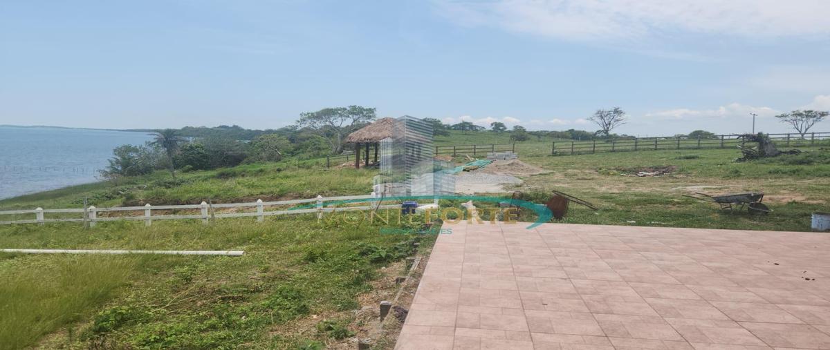 Foto de terreno habitacional en venta en  , isla juana ramirez, ozuluama de mascareñas, veracruz de ignacio de la llave, 28347546 No. 05