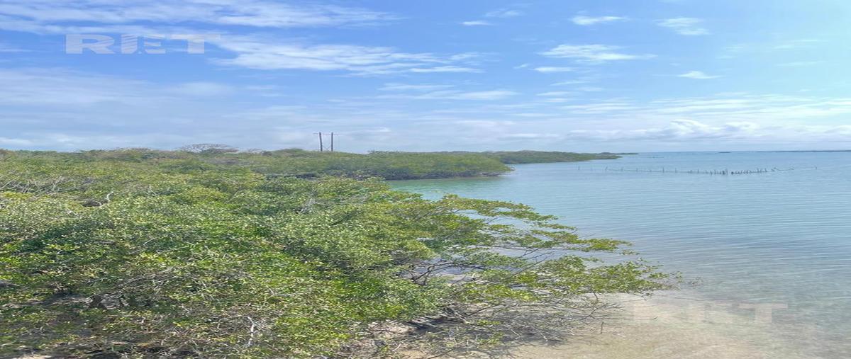 Foto de terreno habitacional en venta en  , isla juana ramirez, ozuluama de mascareñas, veracruz de ignacio de la llave, 29447222 No. 03