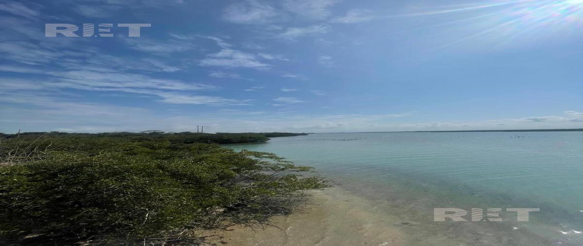 Foto de terreno habitacional en venta en  , isla juana ramirez, ozuluama de mascareñas, veracruz de ignacio de la llave, 29447222 No. 05