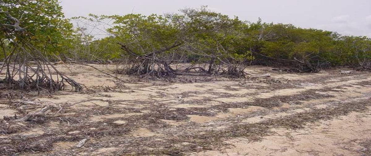 Foto de terreno habitacional en venta en  , isla mujeres centro, isla mujeres, quintana roo, 0 No. 05