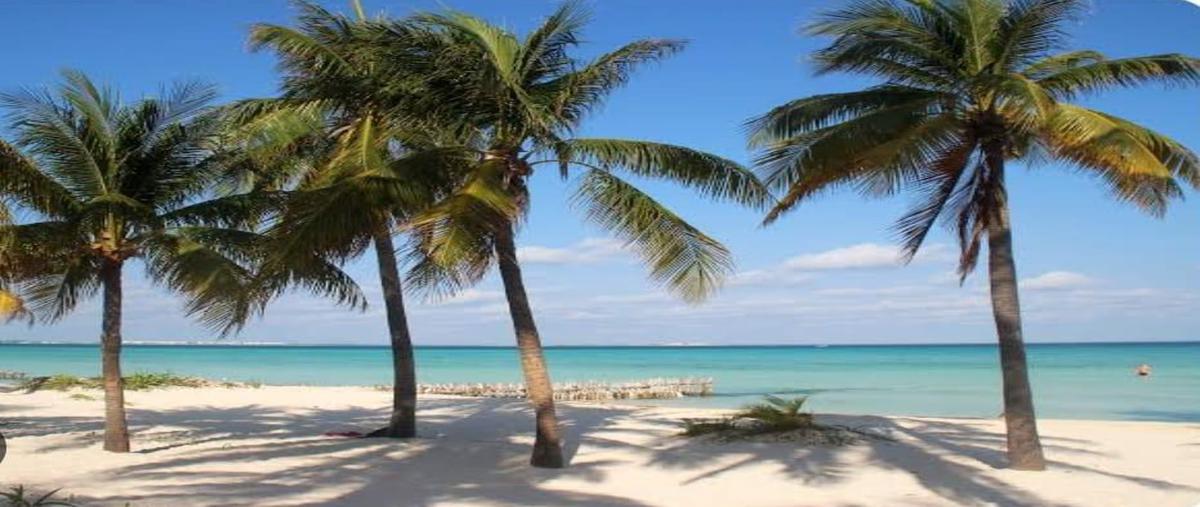 Foto de terreno habitacional en venta en  , isla mujeres, isla mujeres, quintana roo, 0 No. 05